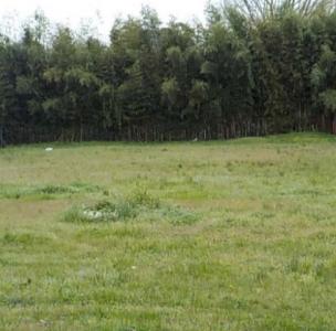 Vente Terrain ARTIGUES-PRES-BORDEAUX 33370