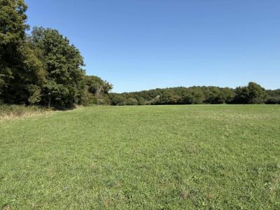 Vente Terrain CHATEAUROUX 36000