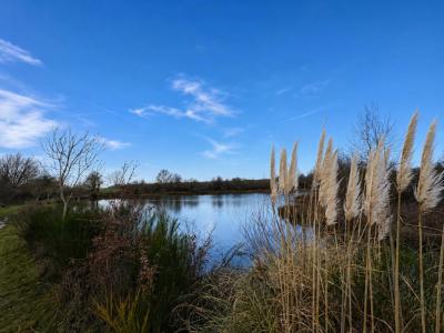 Vente Terrain CHATEAUROUX 36000