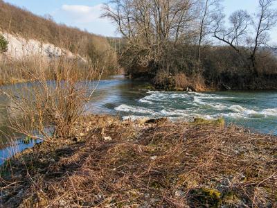 Vente Local commercial PAGNY-SUR-MEUSE 55190