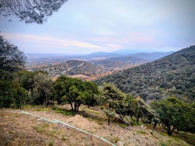 Vente Maison 5 pi�ces CERET 66400