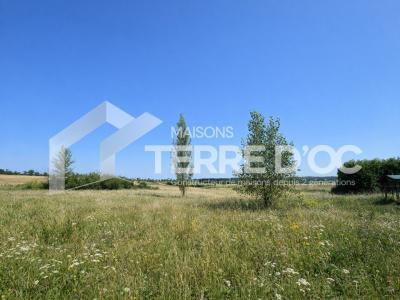 Vente Terrain REVEL 31250
