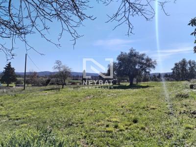 For sale House FAYENCE 