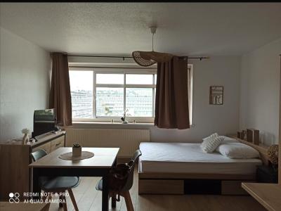 Location Appartement LYON-7EME-ARRONDISSEMENT 69007