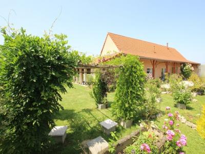 For sale House CUISERY 