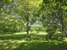 Acheter Maison Saint-hilaire-sur-erre 498000 euros