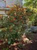 Annonce Vente 6 pi�ces Maison Pessac