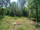 Annonce Vente Terrain Trans-en-provence