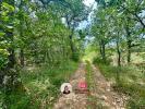 Acheter Terrain 7530 m2 Trans-en-provence