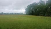 Land EGUZON-CHANTOME 