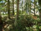 Annonce Vente Terrain Saint-germain-des-pres