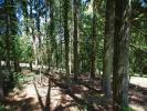 Acheter Terrain 2663 m2 Saint-germain-des-pres