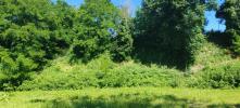 Vente Terrain Fronton 31