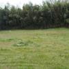Vente Terrain Artigues-pres-bordeaux 33