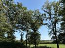 Acheter Terrain 32767 m2 Chateauroux