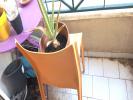 Apartment MONTPELLIER Salengro   Gambetta