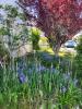Annonce Vente 5 pi�ces Maison 