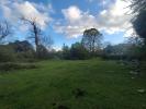 Acheter Terrain Quenza 110000 euros