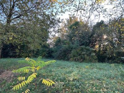Vente Terrain GALGON 33133