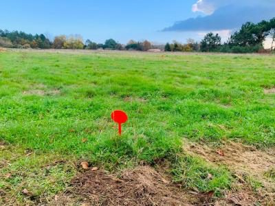Vente Terrain GAURIAGUET 33240