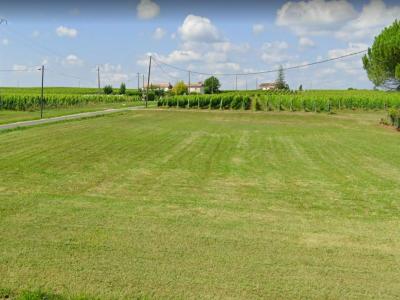 For sale Land BUSSAC-FORET  17