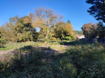 Vente Terrain CAMARSAC 33750
