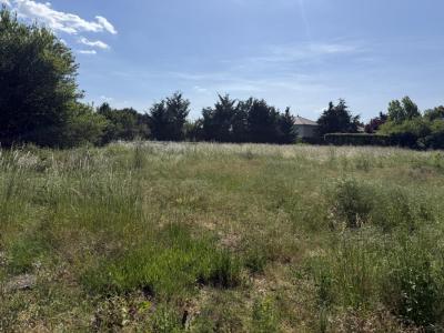 Vente Terrain VEAUCHE 42340