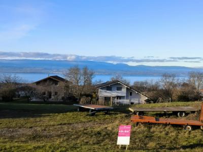 Vente Maison 5 pi�ces MARIN 74200