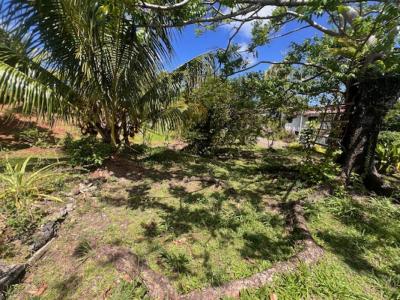Vente Terrain RIVIERE-PILOTE 97211