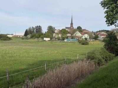 Vente Maison 10 pi�ces HOLVING 57510