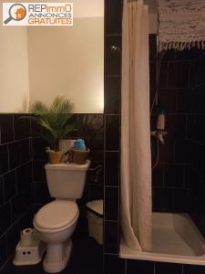 Location Appartement 2 pi�ces TOURS 37200