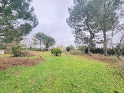 Vente Terrain BLAYE 33390