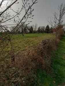 Vente Terrain BOSMIE-L'AIGUILLE 87110