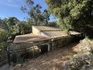 Annonce Vente 2 pi�ces Maison 
