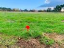 Vente Terrain Gauriaguet 33