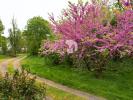 Acheter Maison 59 m2 Saint-mars-de-coutais