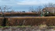 Annonce Vente 5 pi�ces Maison Publier