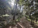Annonce Vente Terrain Falicon
