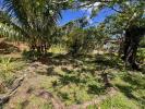 Vente Terrain Riviere-pilote 972