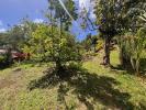 Annonce Vente Terrain Riviere-pilote