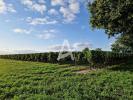 Acheter Terrain Saint-savin Gironde
