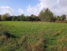 Land SAINT-CIERS-SUR-GIRONDE 