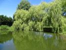 Annonce Vente 4 pi�ces Maison Sainte-orse