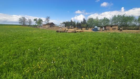 Vente Terrain SOULTZ-SOUS-FORETS 67250