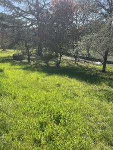 Vente Terrain GRATENTOUR 31150