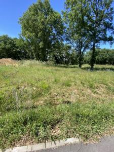 Vente Terrain PUYDANIEL  31