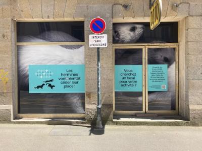 Location Local commercial RENNES 35000