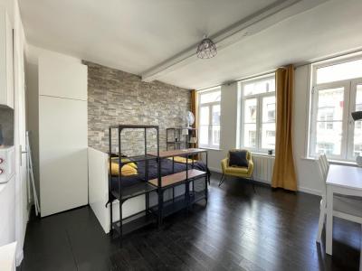 Location Appartement LILLE 59800