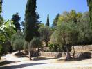 Acheter Maison Peymeinade Alpes Maritimes