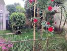 Annonce Vente 5 pi�ces Appartement Dax